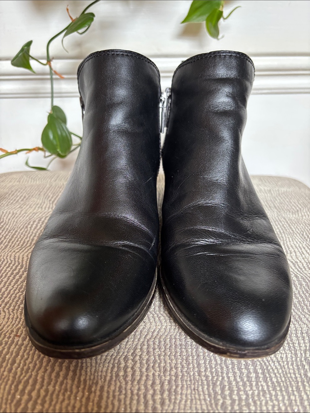 Lucky Brand Black Leather Ankle Boots size 6.5 - Picture 3 of 8